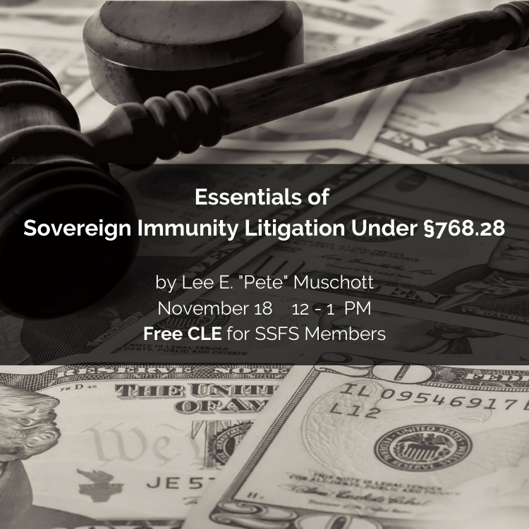 Essentials Of Sovereign Immunity Litigation