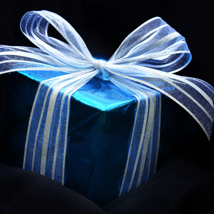 Image of a wrapped gift